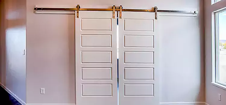 Glass Barn Door with Installation Hardware Kit Nipomo