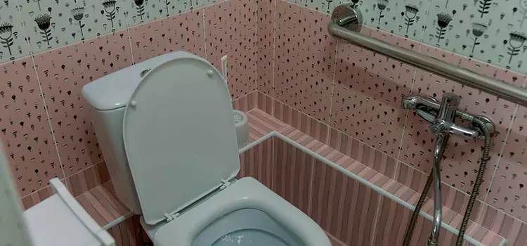 Meeting Diverse Needs With Accessible Restroom Solutions in Nipomo, CA