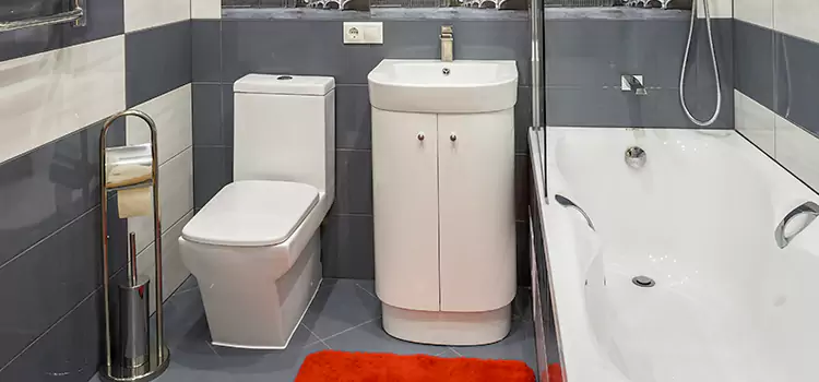 Hansgrohe Shaving Mirror Nipomo